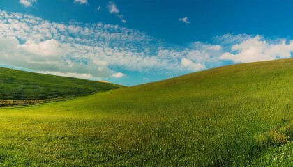 A wide shot of a green grassy field with rolling hills and a bright blue sky with white clouds.