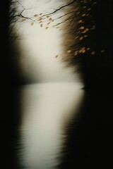 Obraz premium autumn Landscape, photography, cobweb, strong depth of field, fog details