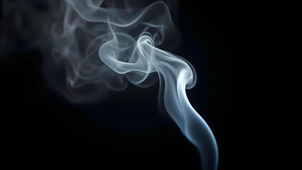 Fototapeta premium smoke on black background