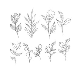 Charming Line Art Leaf Collection: A Set of Beautiful Hand-Drawn Botanical Illustrations Featuring a Variety of Leaves, Ideal for Enhancing Your Creative Projects with a Touch of Nature