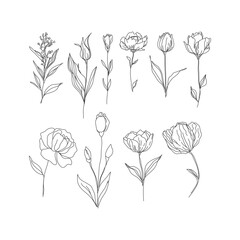 Elegant Line Art Flowers Collection: A Beautiful Array of Hand-Drawn Floral Illustrations, Perfect for Adding a Touch of Grace and Charm to Your Design Projects