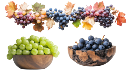 ไม่มีชื่อ (4000 x 5000 px) - 54