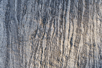 Obraz premium Textured stone surface with intricate patterns