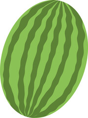 Hand drawn watermelon fruit vector flat illustration