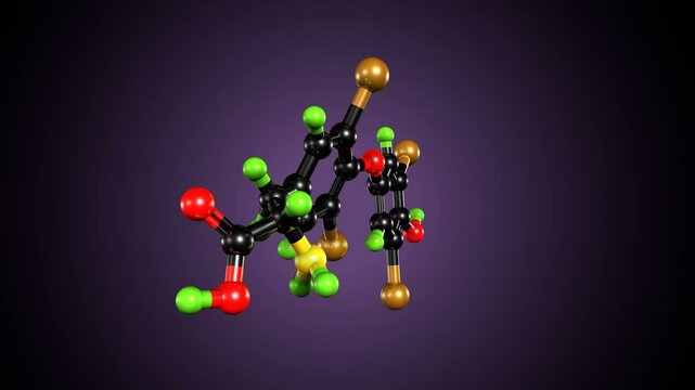 Thyroid Hormones anatomy system. 3d render