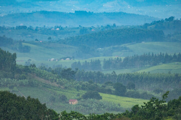 A picturesque and lush green African hillside adorned with trees, Uganda