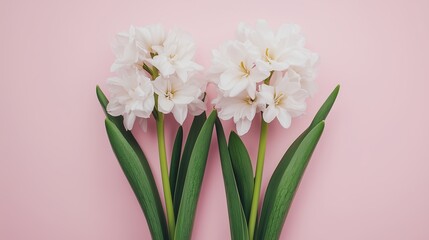 Obraz premium ピンク色の壁紙と花
