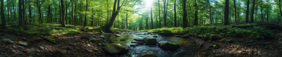 Obraz premium serene forest panorama featuring lush green trees and gentle stream flowing over smooth stones, creating peaceful natural setting