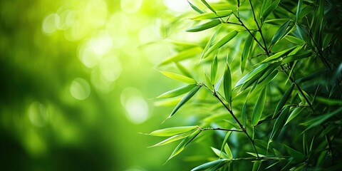 Obraz premium Calm and peaceful green bamboo leaves promote tranquility and support overall wellness, making them a perfect element for relaxation and mental well being.