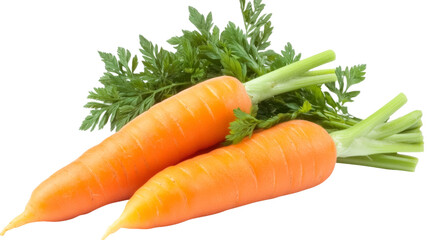 Carrot