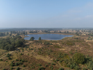 Obraz premium National Park Drents Friese Wold in the Netherlands