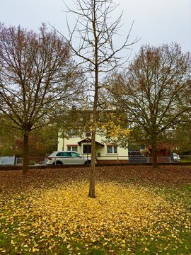 Herbst in Fachingen / Lahn (Rheinland-Pfalz)
