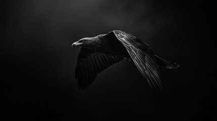 A dark, atmospheric image of a bird in flight