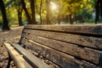Fototapeta premium Scenic Park Bench Bathed in Dappled Sunlight