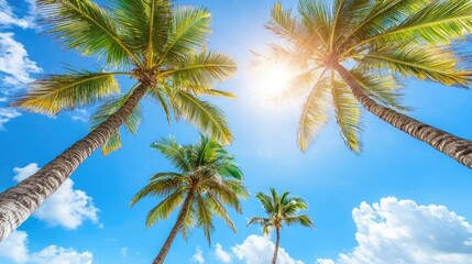 Obraz premium Palm fronds swaying gracefully in the strong tropical breeze, sunlight filtering through on a bright, clear day