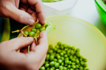 a man picks peas out of the pod