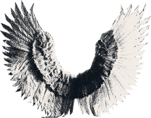  Сlipping from a black and white vintage magazine elements, halftone angel wings