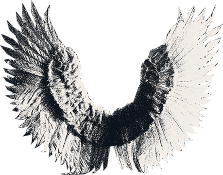  Сlipping from a black and white vintage magazine elements, halftone angel wings