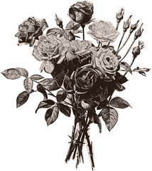 Сlipping from a black and white vintage magazine elements, halftone bouquet of roses