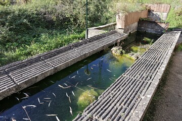 Carpinone - Lavatoio presso il Parco delle Cascate in Via Fiume