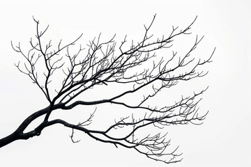 Obraz premium Black tree branches on a white background in a vector illustration using a flat design with a minimalist style, simple lines, and simple shapes.
