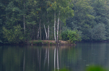 Lakescape with small island and reflection of birch trees, reflection of birch trees in the water,...