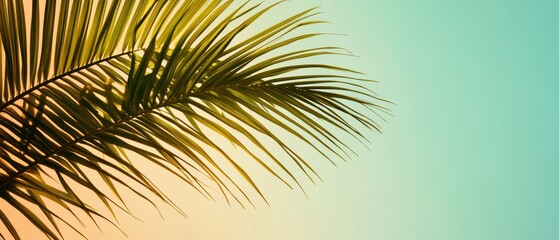 Obraz premium Palm leaves create a stunning silhouette against a pastel sky in high fidelity