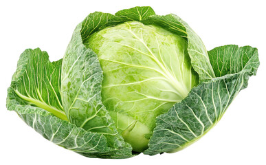 Obraz premium PNG Cabbages vegetable cabbage produce.