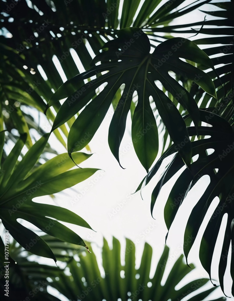 Poster view of various tropical plants with striking green leaves, set against a backdrop with copy space, 