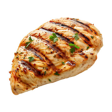 Grilled Chicken Breast on Transparent Background