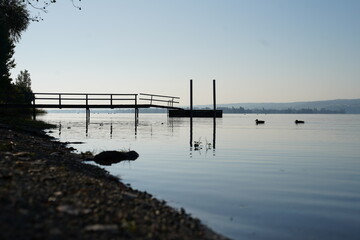 Obraz premium Steg am Untersee (Bodensee) in den Morgenstunden