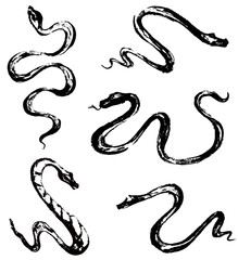 Obraz premium Snakes set. Ink hand drawn animal. Illustration of a Japanese-style snake drawn with a brush. Brushwork. Chinese new year symbol. Asian lunar calendar beast. Silhouette