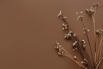 close up horizontal image of small dry flower twigs over a brown neutral background, copy space