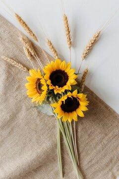 Sunflowers and Wheat Spikes on a Burlap Background.