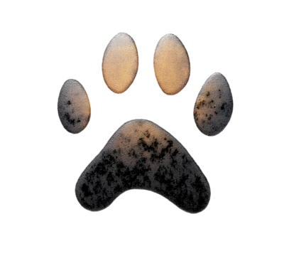 Dog or cat paw print flat icon for animal apps and websites