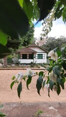 casa em estilo americano em belterra, pará 