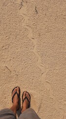 rastro de cobra na areia 