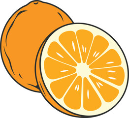 Orange Fruit Color Vector Design