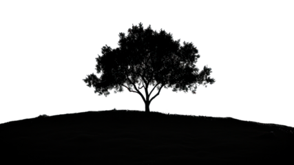PNG Sillhouette Black and white isolate tree in the middle silhouette outdoors nature.