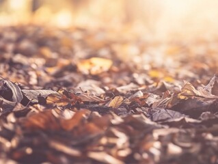 Autumn Leaves Carpet