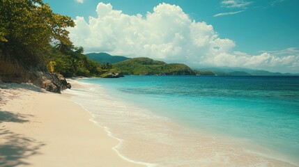 Fototapeta premium A pristine white sand beach with crystal clear turquoise water and lush green vegetation.