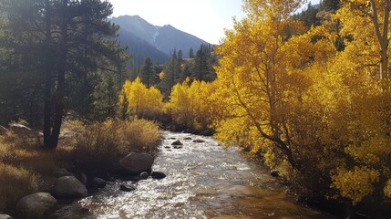 Forest and river under snowy mountains in autumn