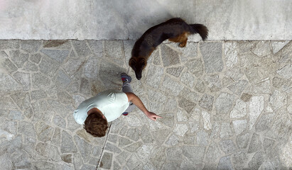 top view of man with dog against stone tile background