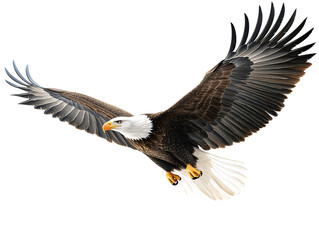 Obraz premium a bald eagle flying in the sky