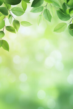 Green leaves frame a blurred background of green foliage and bright spots of light, creating a natural, soft, and inviting aesthetic