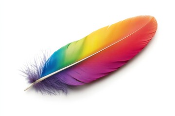 Colorful feather with a rainbow pattern. The feather is on a white background. The feather is vibrant and eye-catching, with its rainbow colors standing out against the white background