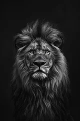 Papier peint photo Lion Anmutiges Löwen Portrait in schwarz weiss, edle und intensive Abbildung eines männlichen Löwens  © Jearu