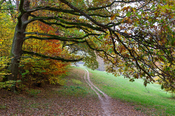 Colorful autumn Landscape in Bohemian Paradise, Czech Republic 