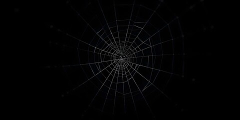 Intricate white spider web against a dark background.
