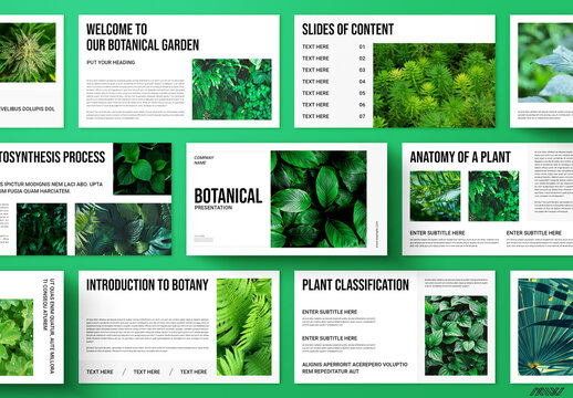 Botanical Presentation Layout
